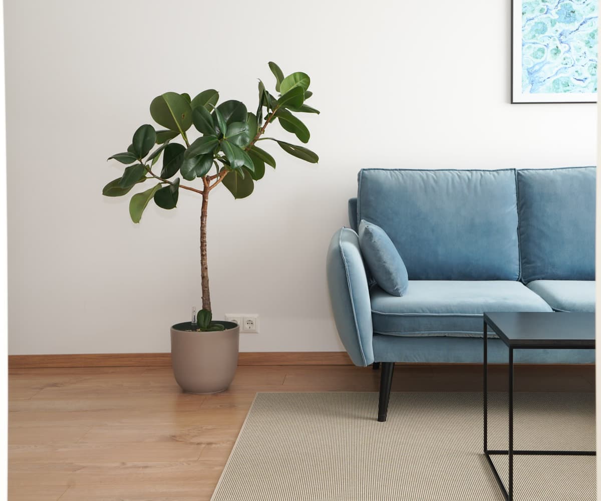 The Azure living room with a soft blue sofa and a framed print